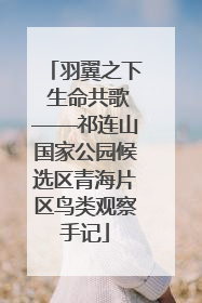 羽翼之下 生命共歌——祁连山国家公园候选区青海片区鸟类观察手记