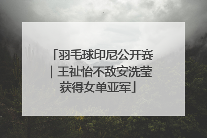 羽毛球印尼公开赛｜王祉怡不敌安洗莹 获得女单亚军