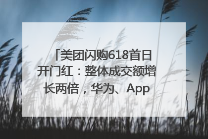 美团闪购618首日开门红：整体成交额增长两倍，华为、Apple、沃尔玛等近800个品牌翻倍增长