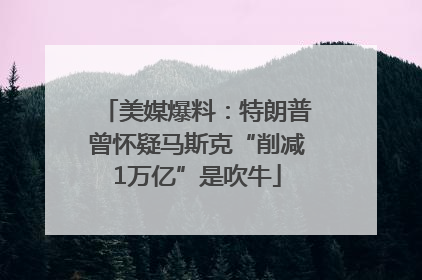 美媒爆料：特朗普曾怀疑马斯克“削减1万亿”是吹牛