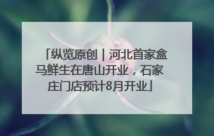 纵览原创｜河北首家盒马鲜生在唐山开业，石家庄门店预计8月开业
