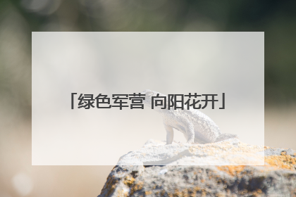 绿色军营 向阳花开