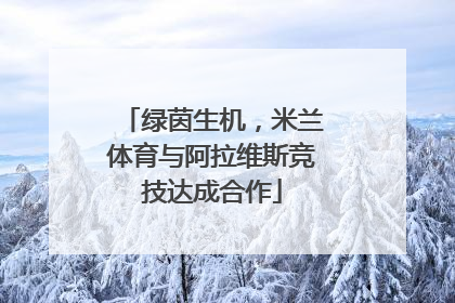绿茵生机，米兰体育与阿拉维斯竞技达成合作