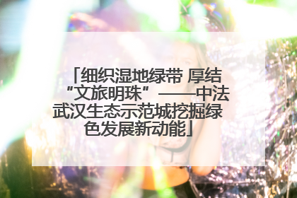 细织湿地绿带 厚结“文旅明珠”——中法武汉生态示范城挖掘绿色发展新动能