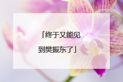 终于又能见到樊振东了