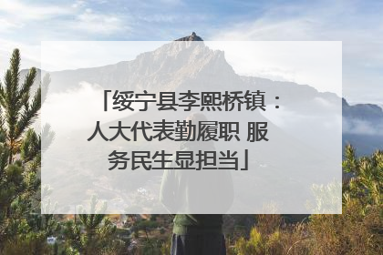 绥宁县李熙桥镇：人大代表勤履职 服务民生显担当