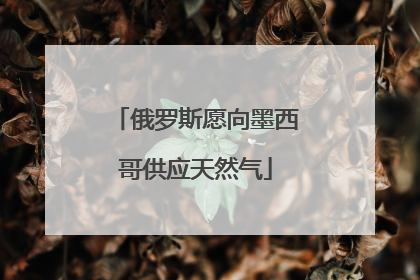 俄罗斯愿向墨西哥供应天然气