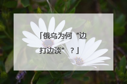 俄乌为何“边打边谈”？