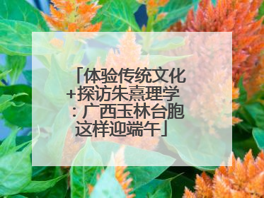 体验传统文化+探访朱熹理学：广西玉林台胞这样迎端午