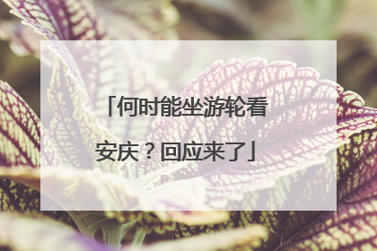 何时能坐游轮看安庆？回应来了