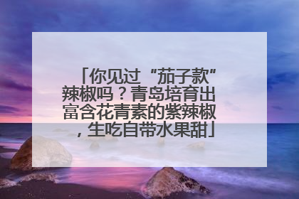你见过“茄子款”辣椒吗？青岛培育出富含花青素的紫辣椒，生吃自带水果甜