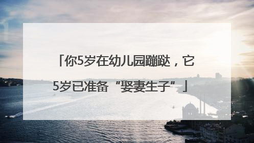 你5岁在幼儿园蹦跶，它5岁已准备“娶妻生子”