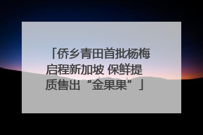侨乡青田首批杨梅启程新加坡 保鲜提质售出“金果果”
