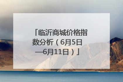 临沂商城价格指数分析（6月5日—6月11日）