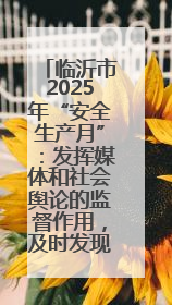 临沂市2025年“安全生产月”：发挥媒体和社会舆论的监督作用，及时发现并消除安全隐患