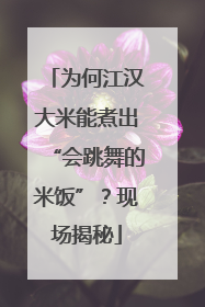 为何江汉大米能煮出“会跳舞的米饭”？现场揭秘