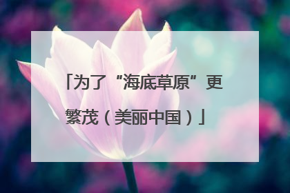 为了“海底草原”更繁茂（美丽中国）