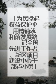 为民撑起权益保护伞 用情铺就和谐发展路——记全国先进工作者、新区项目建设中心干部卢小勇