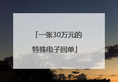 一张30万元的特殊电子回单