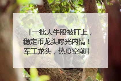 一批大牛股被盯上，稳定币龙头曝光内情！军工龙头，热度空前