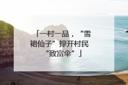 一村一品，“雪裙仙子”撑开村民“致富伞”