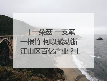 一朵菇 一支笔 一根竹 何以撬动浙江山区百亿产业？