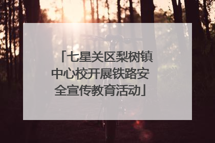 七星关区梨树镇中心校开展铁路安全宣传教育活动