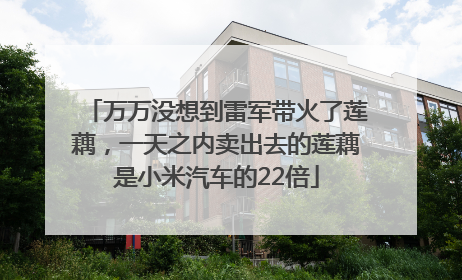 万万没想到雷军带火了莲藕，一天之内卖出去的莲藕是小米汽车的22倍