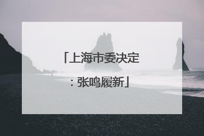 上海市委决定：张鸣履新