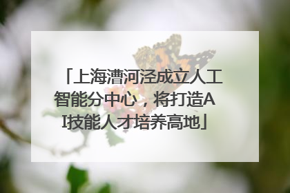 上海漕河泾成立人工智能分中心，将打造AI技能人才培养高地