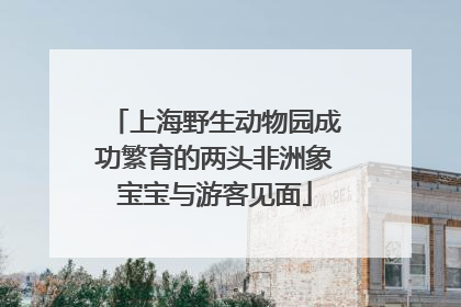 上海野生动物园成功繁育的两头非洲象宝宝与游客见面