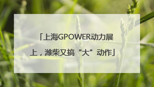 上海GPOWER动力展上，潍柴又搞“大”动作
