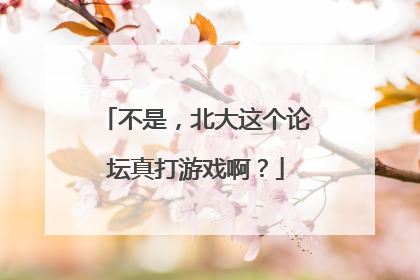 不是，北大这个论坛真打游戏啊？