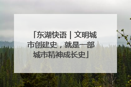 东湖快语｜文明城市创建史，就是一部城市精神成长史