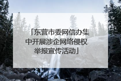东营市委网信办集中开展涉企网络侵权举报宣传活动