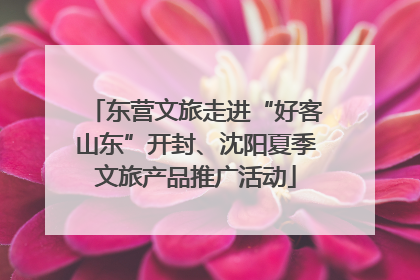 东营文旅走进“好客山东”开封、沈阳夏季文旅产品推广活动
