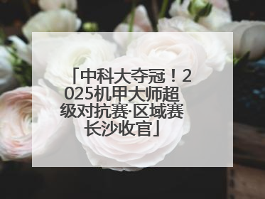中科大夺冠！2025机甲大师超级对抗赛·区域赛长沙收官