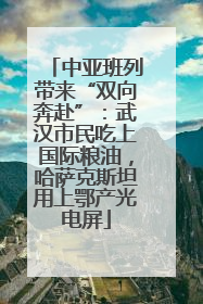 中亚班列带来“双向奔赴”：武汉市民吃上国际粮油，哈萨克斯坦用上鄂产光电屏
