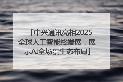 中兴通讯亮相2025全球人工智能终端展，展示AI全场景生态布局