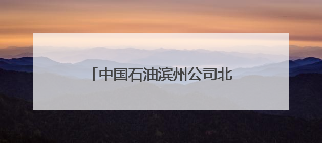 中国石油滨州公司北海党支部开展“热血传爱”公益献血活动