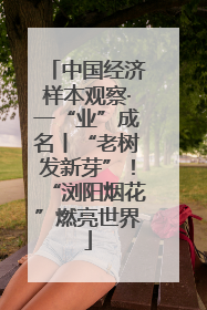 中国经济样本观察·一“业”成名丨“老树发新芽”！“浏阳烟花”燃亮世界