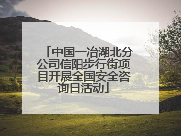 中国一冶湖北分公司信阳步行街项目开展全国安全咨询日活动