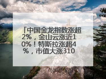 中国金龙指数涨超2%，金山云涨近10%！特斯拉涨超4%，市值大涨3100亿元！比特币涨回11万美元关口