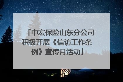 中宏保险山东分公司积极开展《信访工作条例》宣传月活动