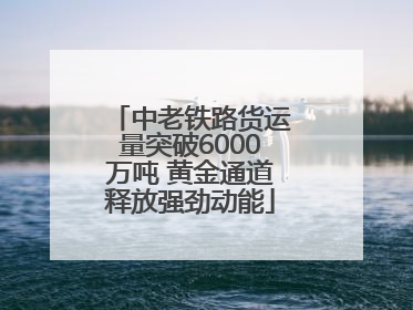中老铁路货运量突破6000万吨 黄金通道释放强劲动能