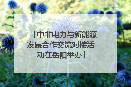 中非电力与新能源发展合作交流对接活动在岳阳举办