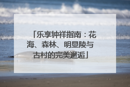 乐享钟祥指南：花海、森林、明显陵与古村的完美邂逅