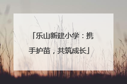 乐山新建小学：携手护苗，共筑成长