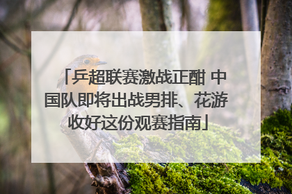 乒超联赛激战正酣 中国队即将出战男排、花游 收好这份观赛指南