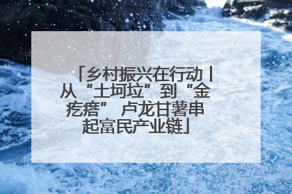 乡村振兴在行动丨从“土坷垃”到“金疙瘩” 卢龙甘薯串起富民产业链
